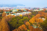 谈球吧官网
